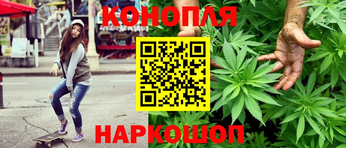 Каннабис OG Kush Луховицы